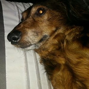 Meet your Posher, Connie